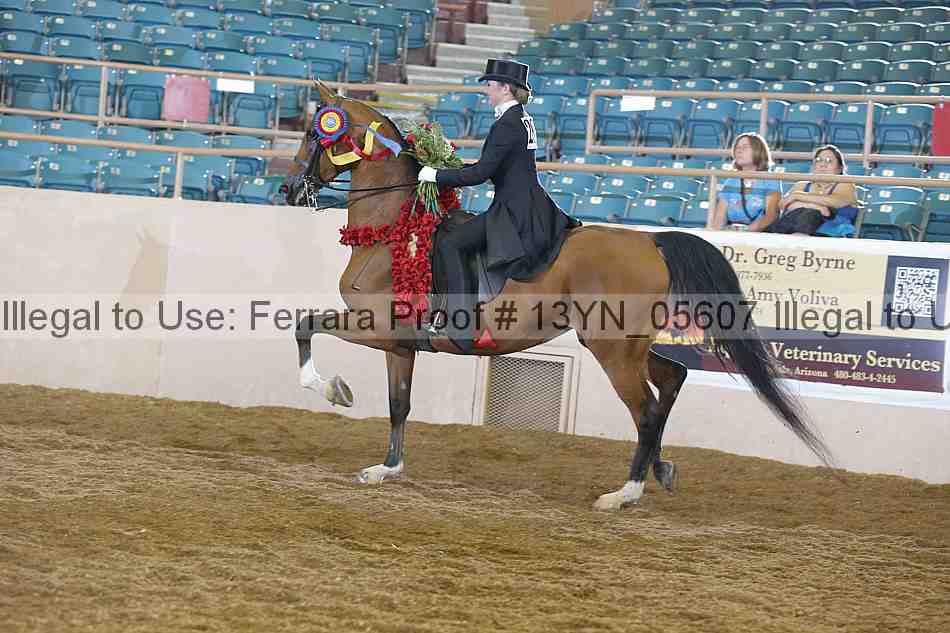 Proof 13yn_05607