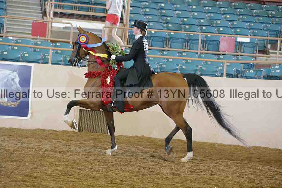 Proof 13yn_05608