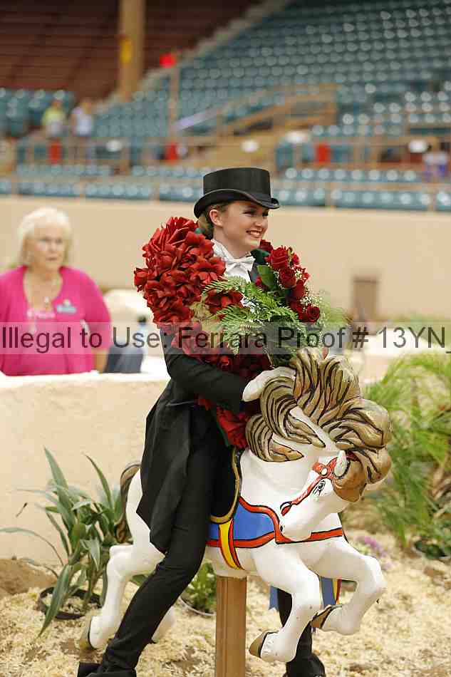 Proof 13yn_05641