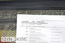 13yn_24356 proof
