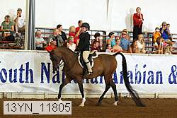 13yn_11805 proof