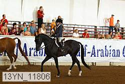 13yn_11806 proof