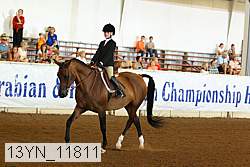 13yn_11811 proof