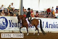 13yn_11844 proof