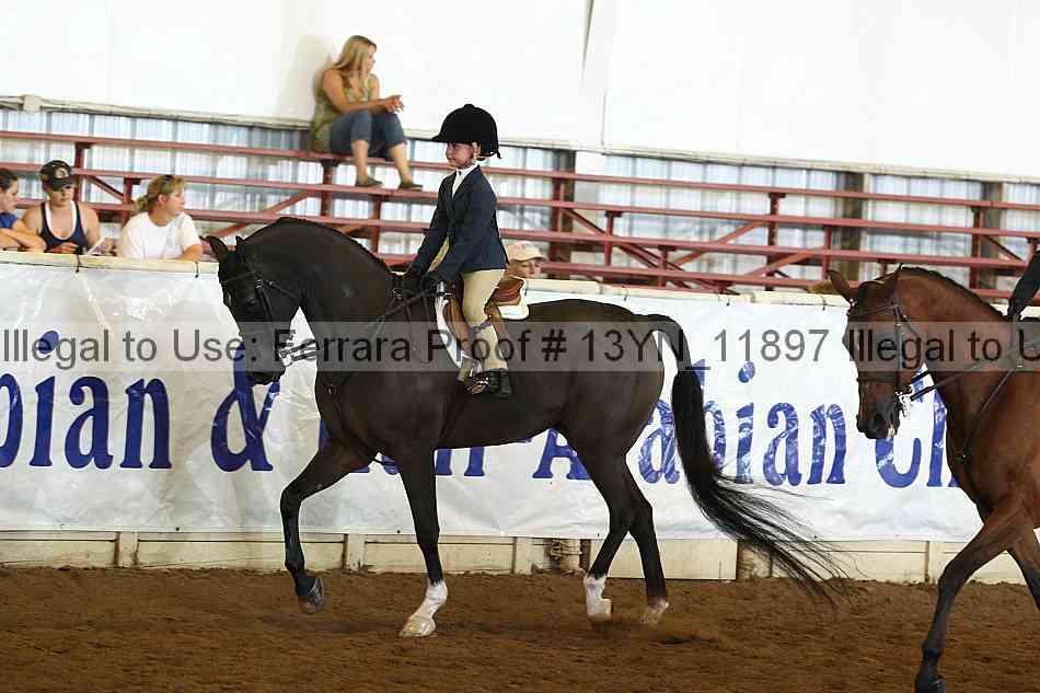 Proof 13yn_11897