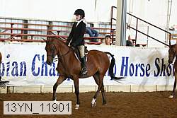 13yn_11901 proof