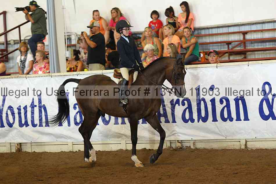 Proof 13yn_11903