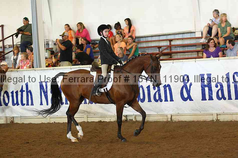 Proof 13yn_11904