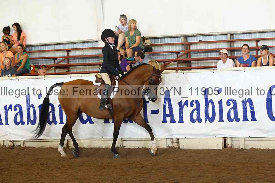 Proof 13yn_11905