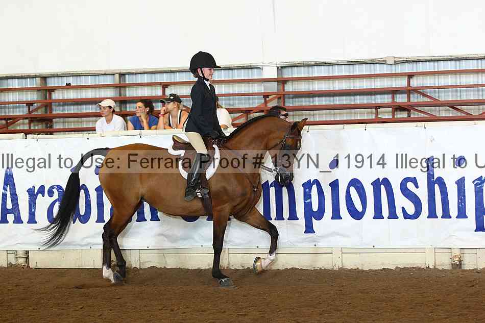 Proof 13yn_11914
