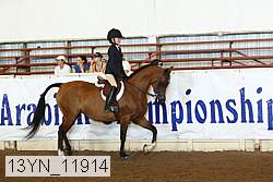 13yn_11914 proof