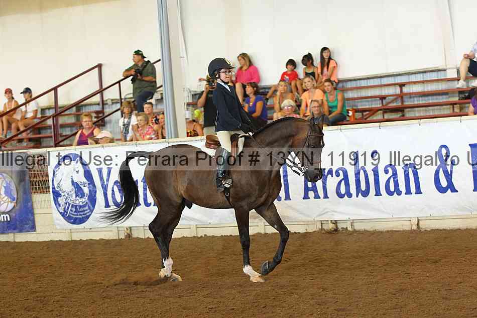 Proof 13yn_11919