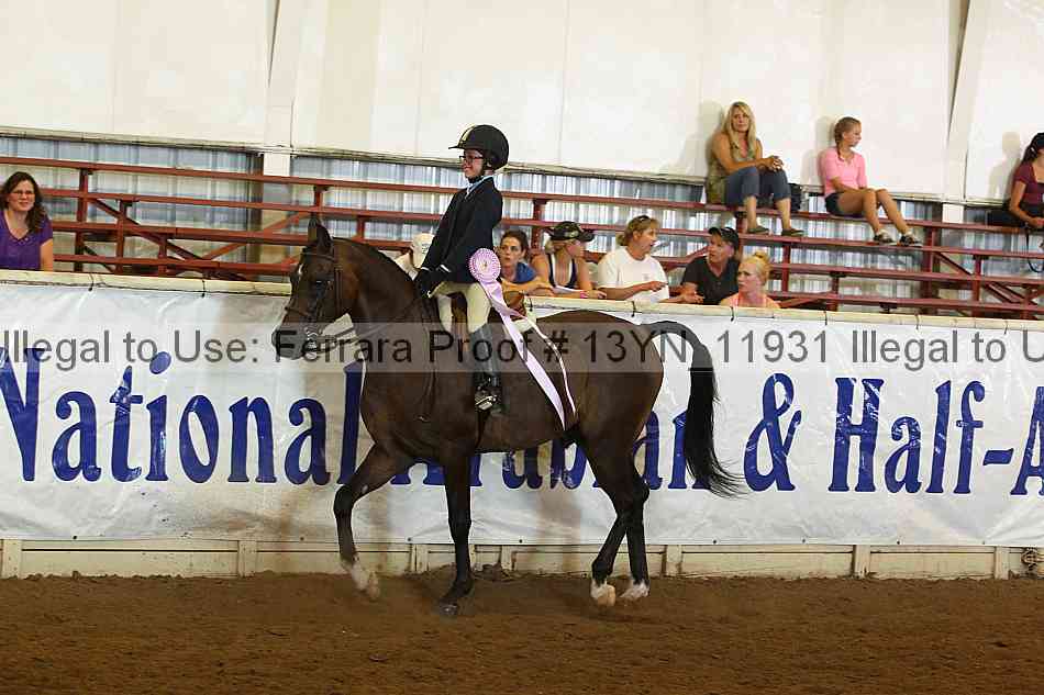 Proof 13yn_11931