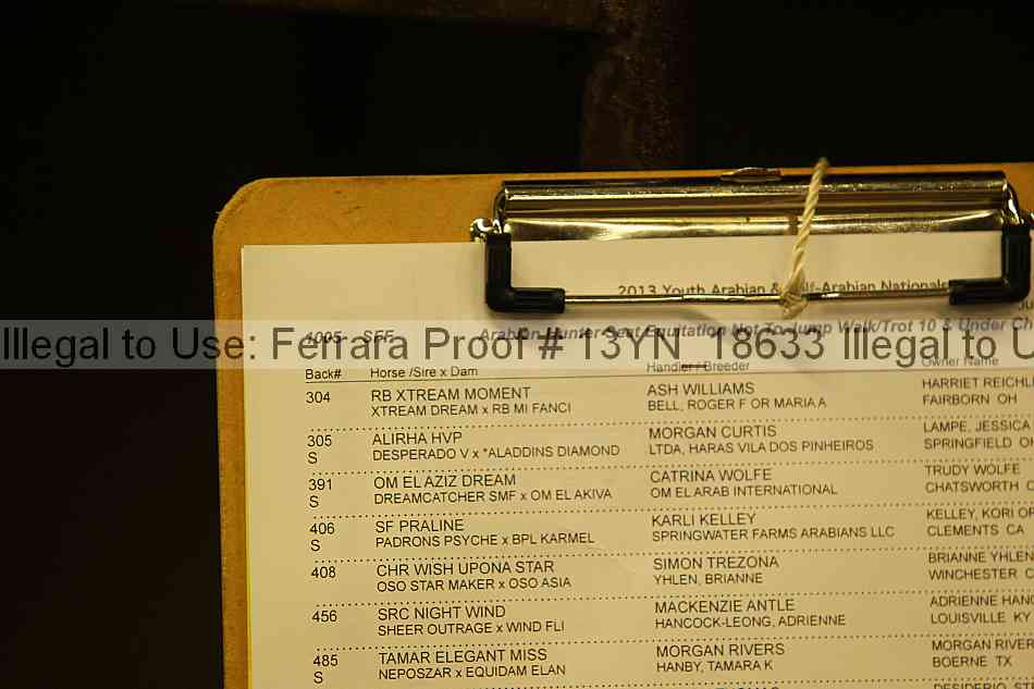 Proof 13yn_18633