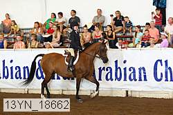 13yn_18662 proof
