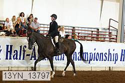 13yn_13797 proof