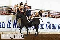 13yn_13803 proof