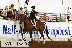 13yn_13806 proof