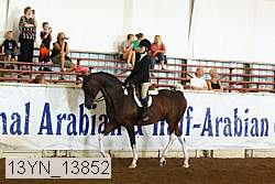 13yn_13852 proof