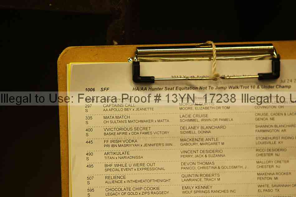 Proof 13yn_17238