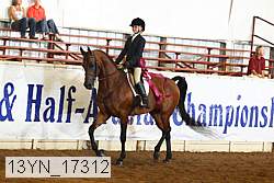 13yn_17312 proof