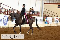 13yn_17331 proof
