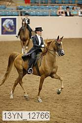13yn_12766 proof