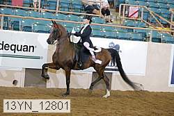 13yn_12801 proof