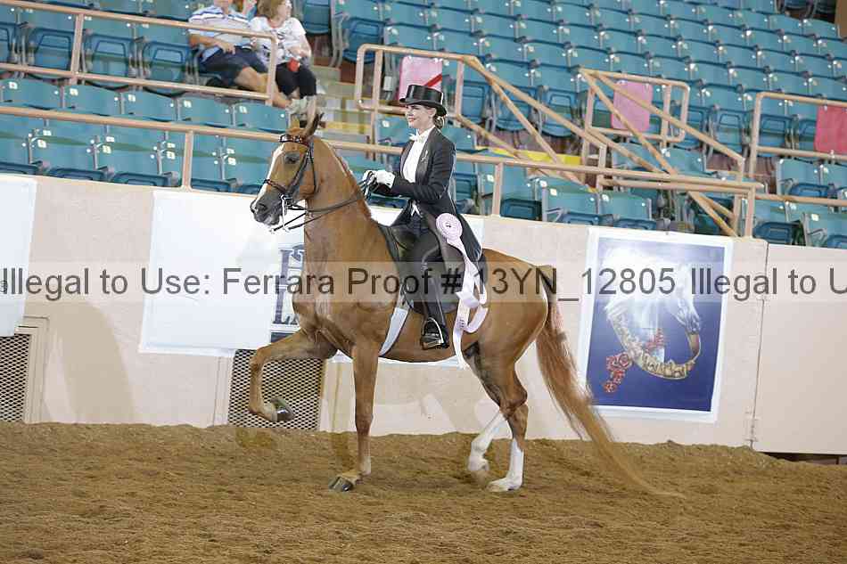 Proof 13yn_12805