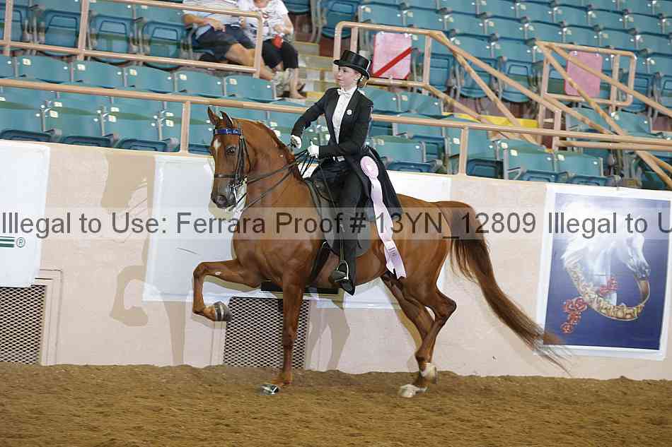 Proof 13yn_12809