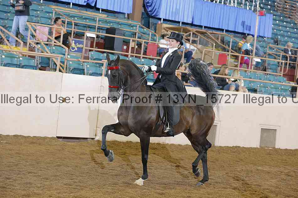 Proof 13yn_15727