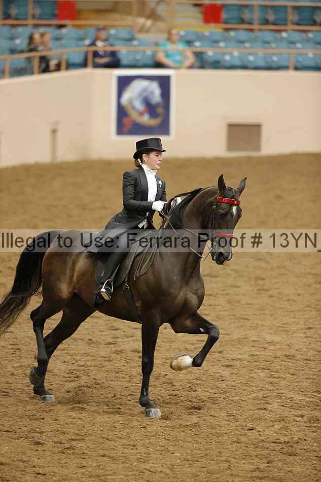 Proof 13yn_15739