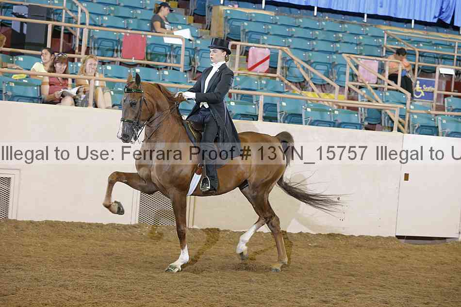 Proof 13yn_15757