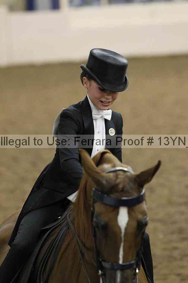 Proof 13yn_15805