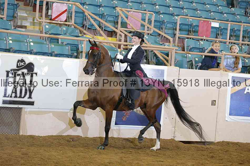 Proof 13yn_15918