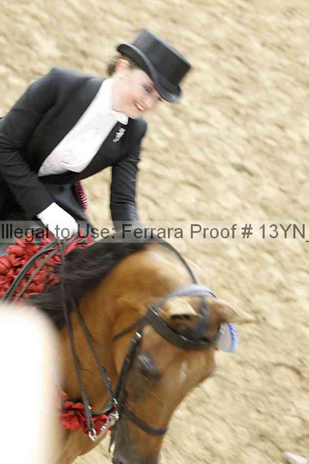 Proof 13yn_15946