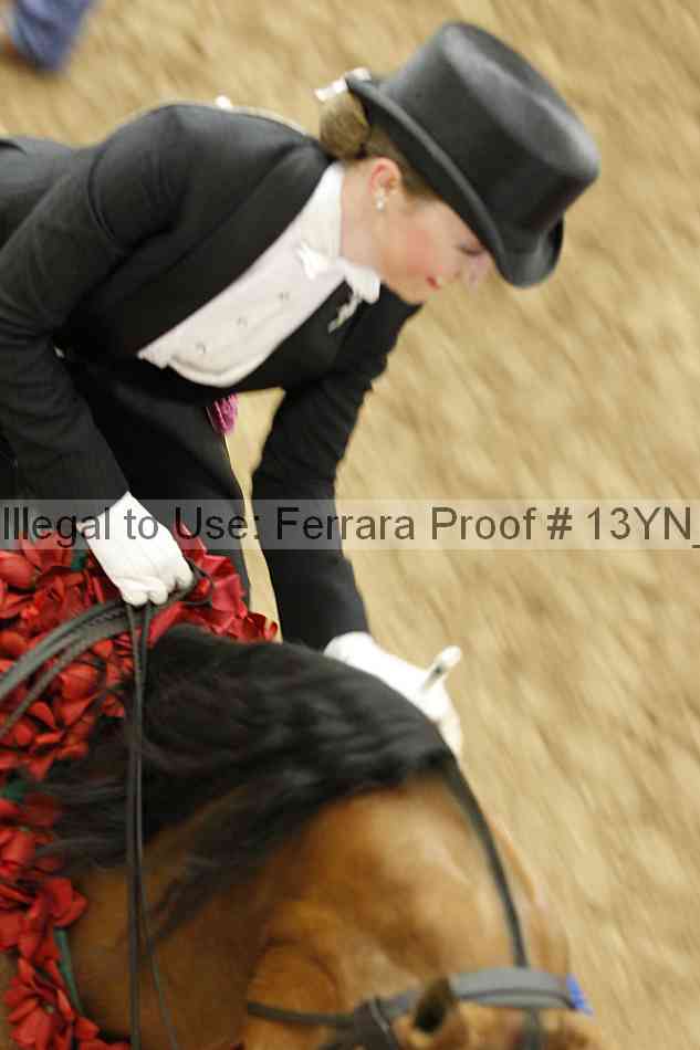 Proof 13yn_15947