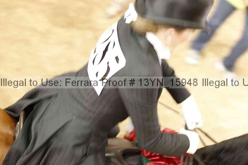 Proof 13yn_15948
