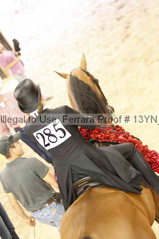 Proof 13yn_15951