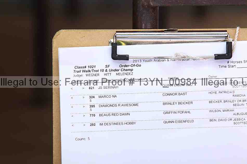 Proof 13yn_00984