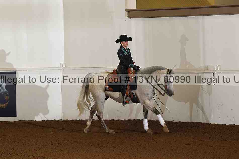 Proof 13yn_00990