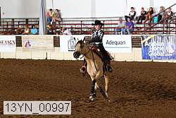 13yn_00997 proof