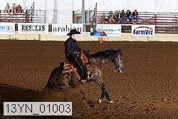 13yn_01003 proof
