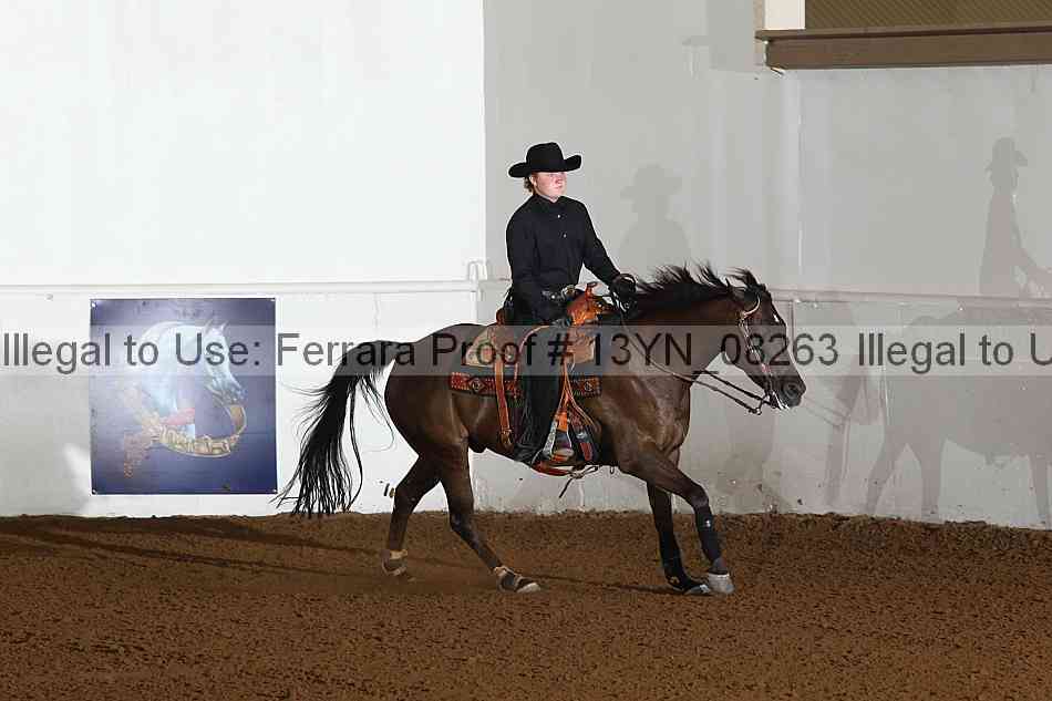 Proof 13yn_08263