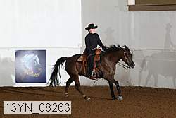 13yn_08263 proof