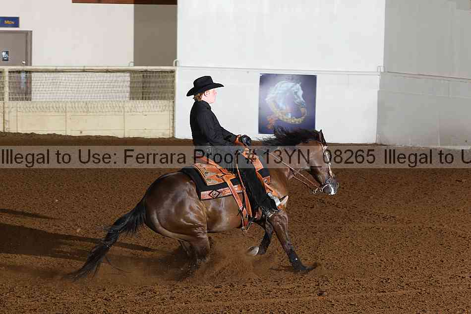 Proof 13yn_08265