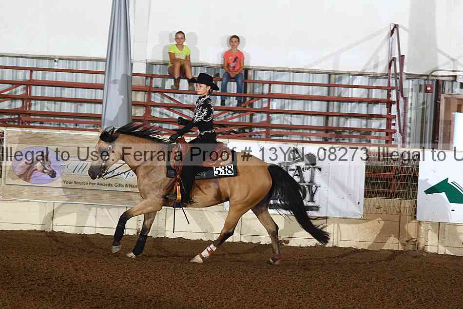 Proof 13yn_08273