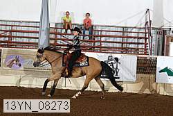 13yn_08273 proof