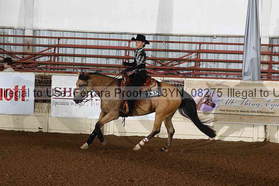Proof 13yn_08275
