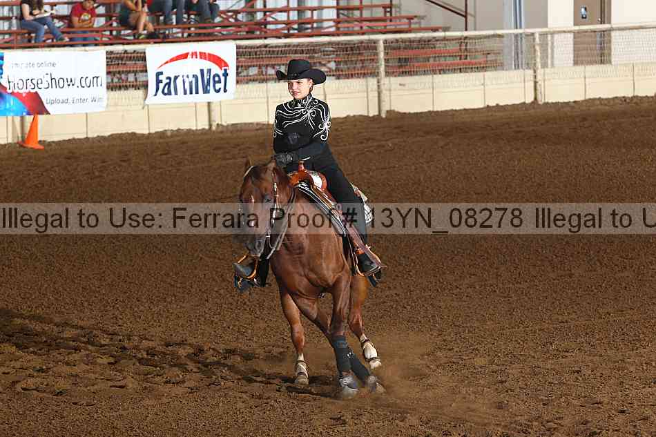 Proof 13yn_08278